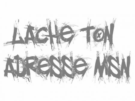 lache ton adresse msn