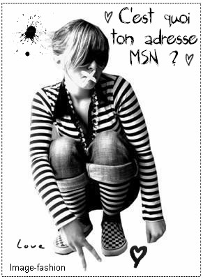 c koi ton adresse msn