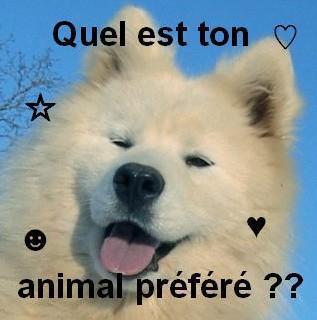 quel est ton animal prefere
